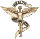 chiropractor